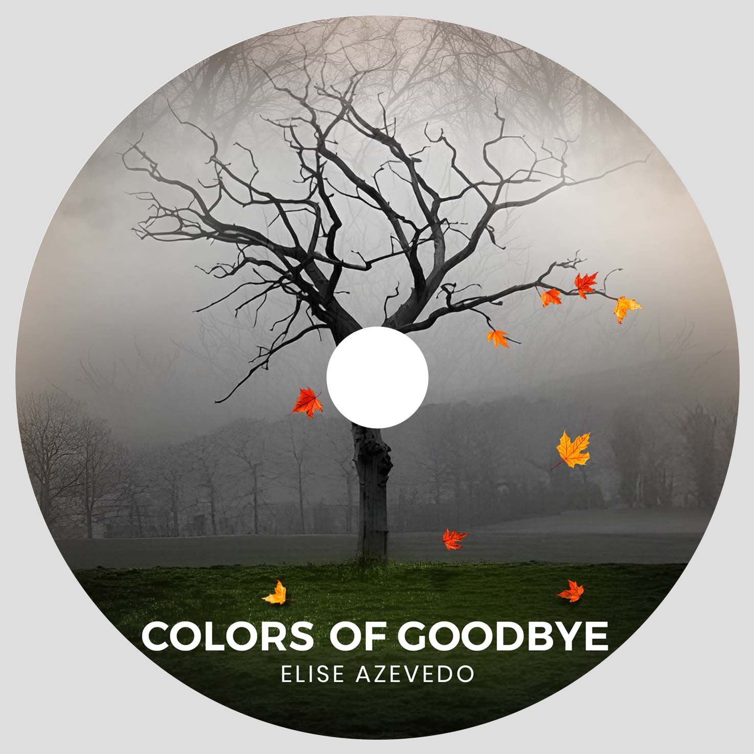 Design de Pochette de CD par designcircle pour White Space Inc. | Design #36317175