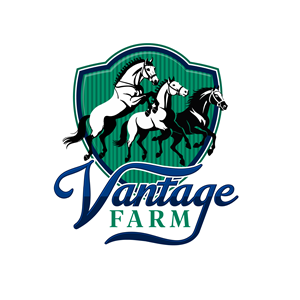 Logo Design by Jose Lopez ( Verified Pro Designer ) for this project | Design: #36243495