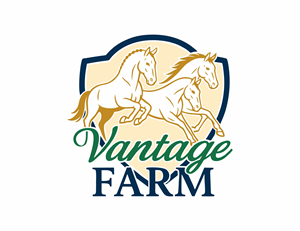 Logo Design by Borago for this project | Design: #36243557