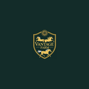 Logo Design by Dezingo Studio™