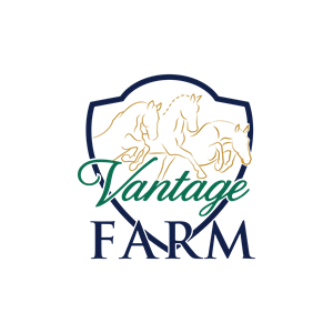 Logo Design by ainee4 for this project | Design: #36243379