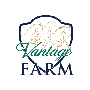 Vantage Farm - thoroughbred spelling and performance horse breeding, sales and training.