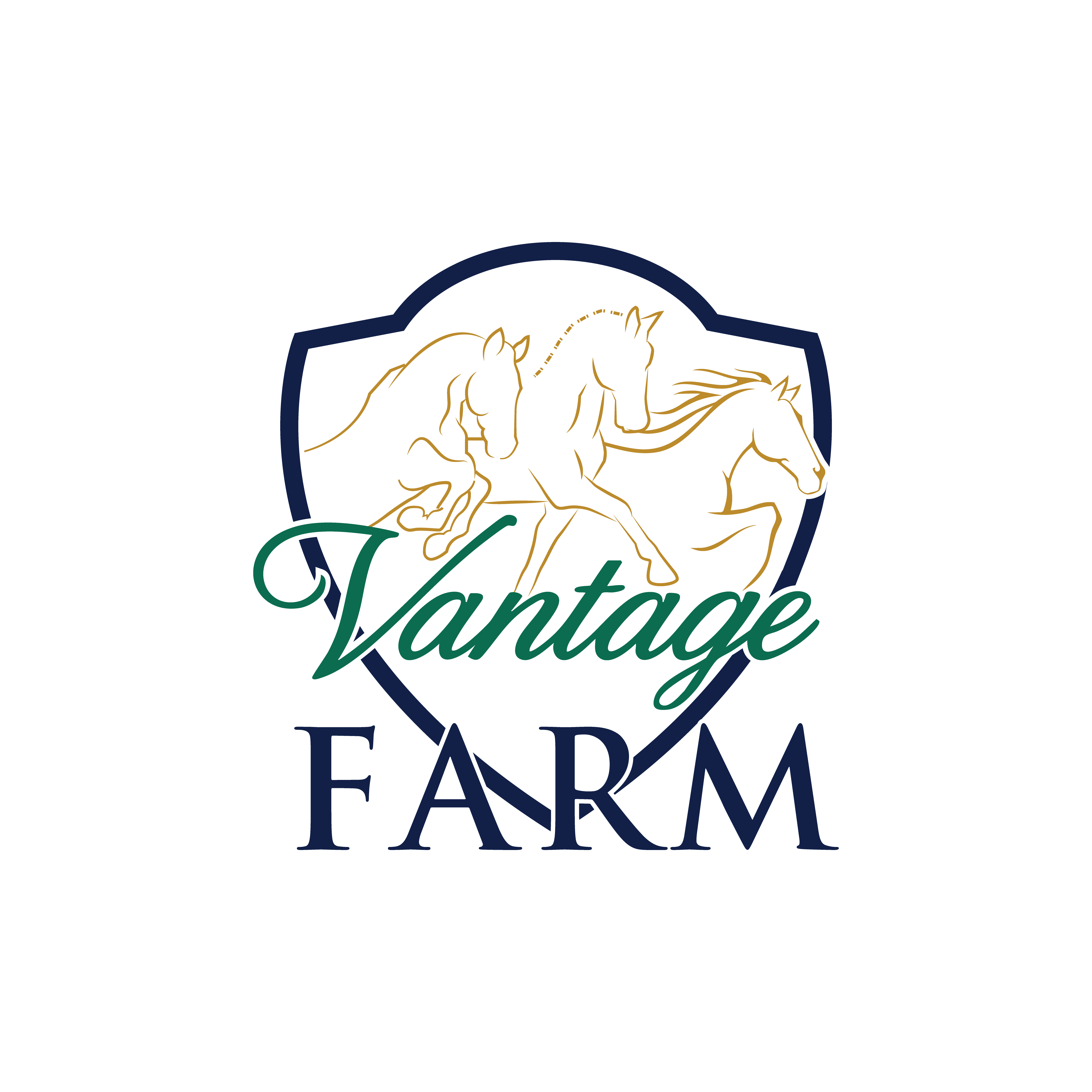 Logo Design by ainee4 for this project | Design #36243953