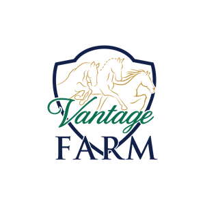 Logo Design by ainee4 for this project | Design: #36243953
