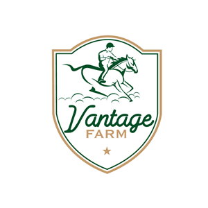 Logo Design by Krold IT Solutions for this project | Design: #36248465