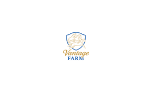 Design de Logo par Pixelia pour ce projet | Design : #36247062
