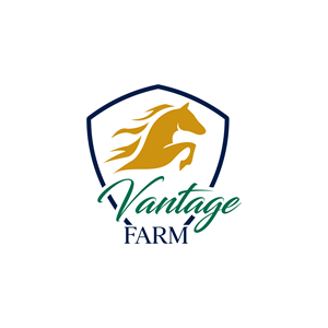 Logo Design by AKTech for this project | Design: #36247489