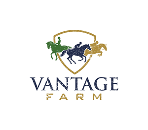 Logo Design by Logotruck for this project | Design: #36249761