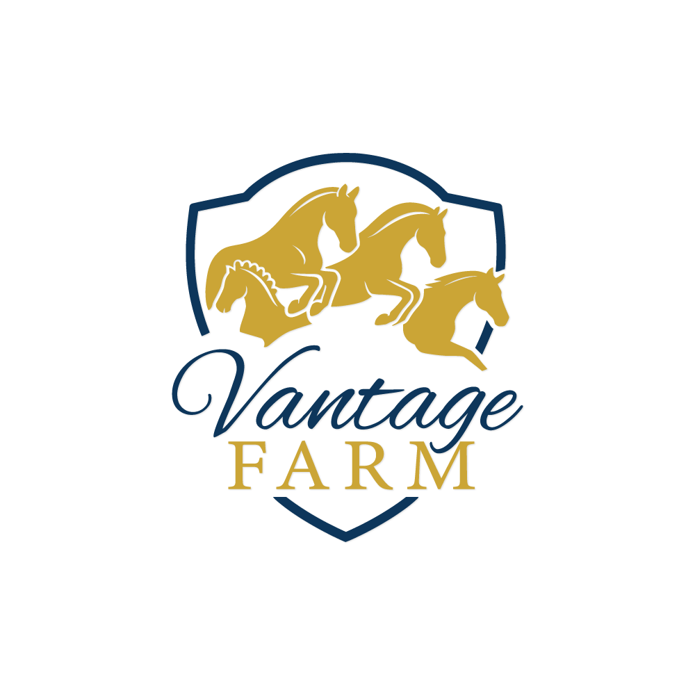 Logo Design by hajera for this project | Design #36252503