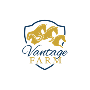 Logo Design by hajera for this project | Design: #36252503