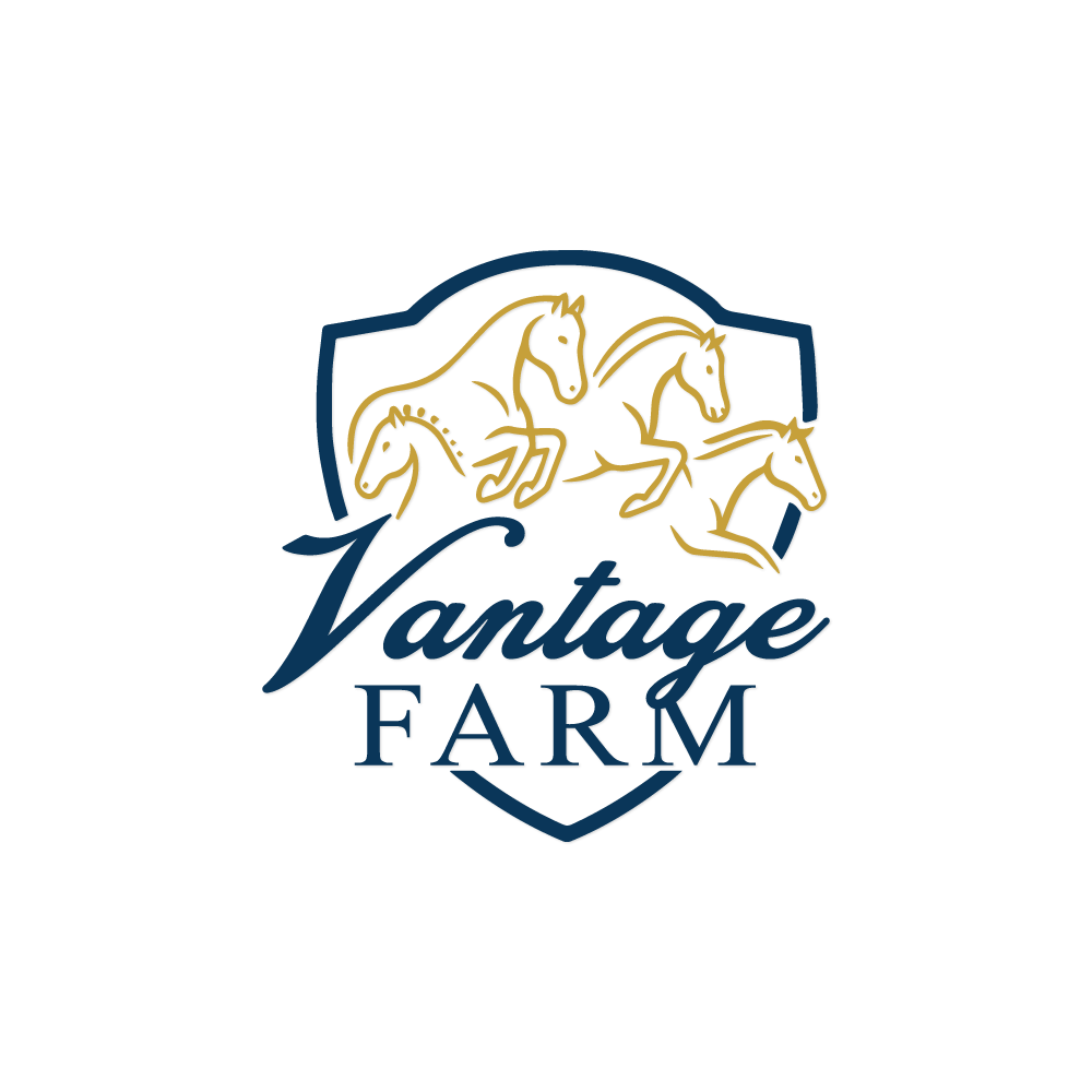 Logo Design by hajera for this project | Design #36252690