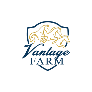 Logo Design by hajera for this project | Design: #36252690