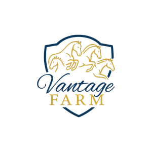Logo Design by hajera for this project | Design: #36252696