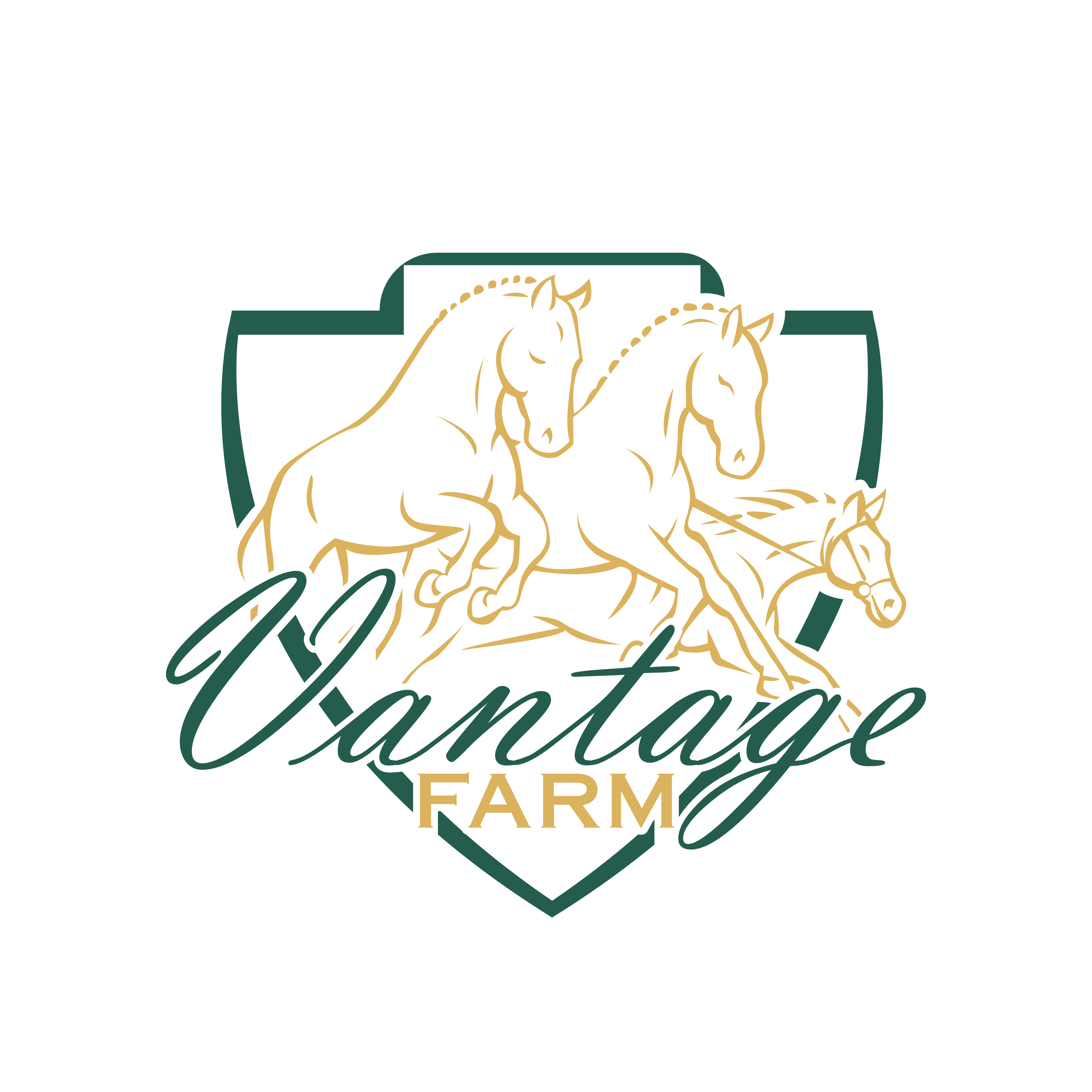Design de Logo par MasMasDesign pour ce projet | Design #36244434