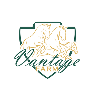 Logo Design by MasMasDesign for this project | Design: #36244434