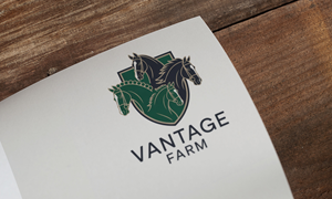 Logo Design by Loin008 for this project | Design: #36246400