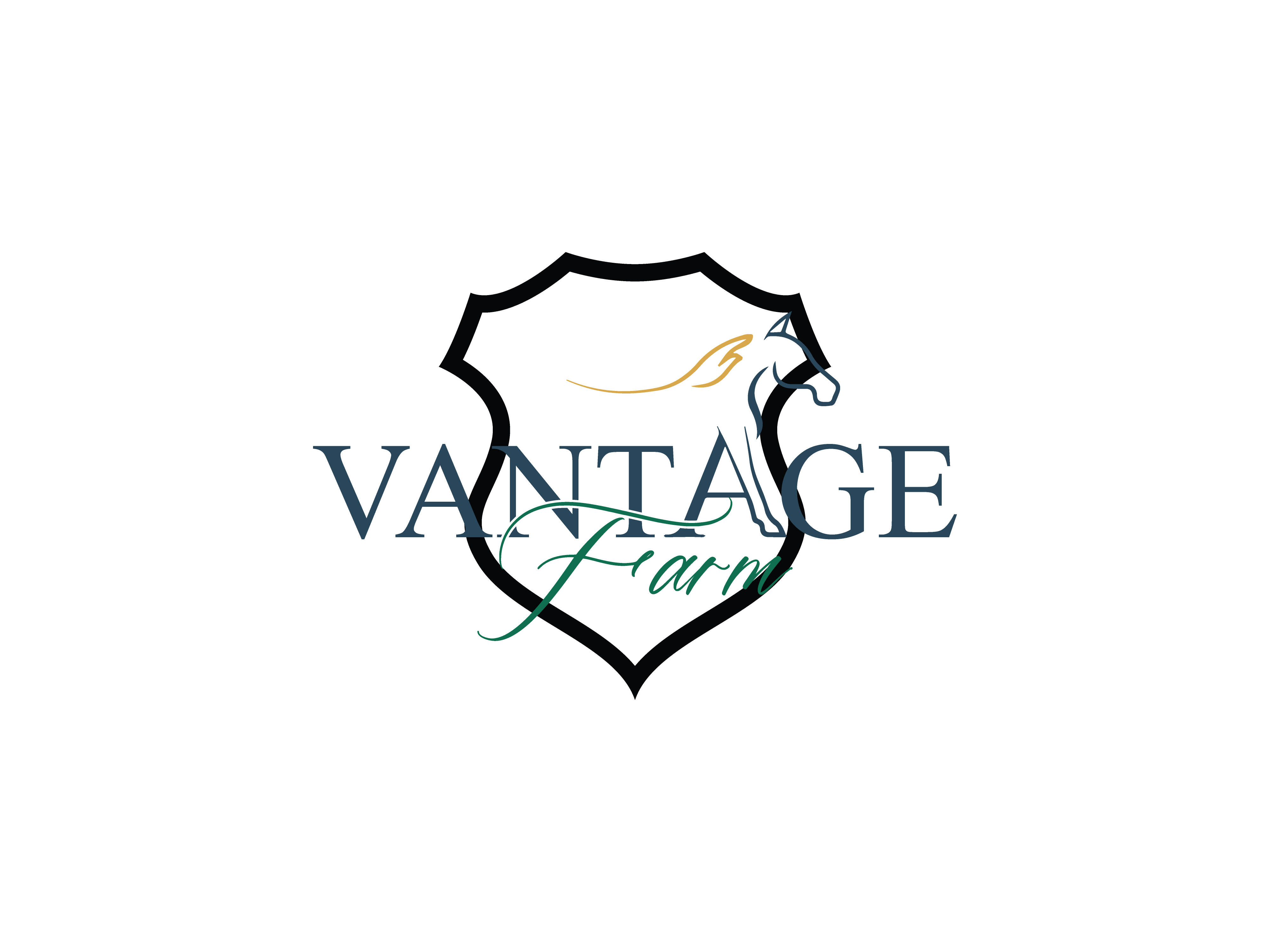 Logo Design by HaveTake for this project | Design #36250080