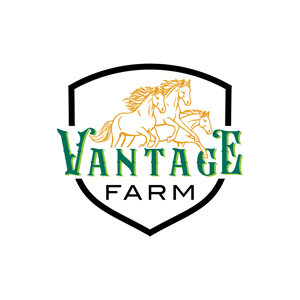 Logo Design by sumailah