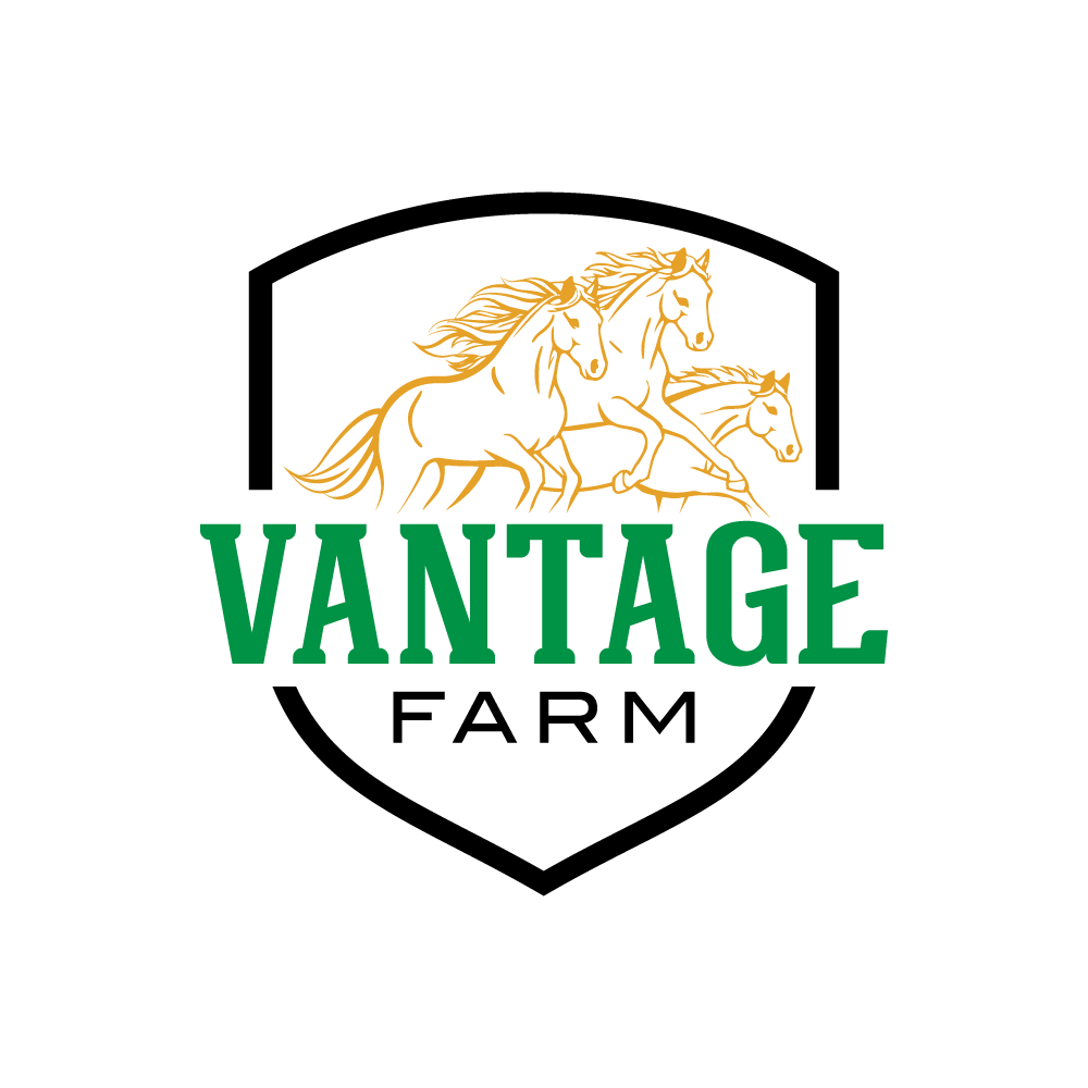 Logo Design by sumailah for this project | Design #36254624