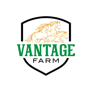 Logo Design by sumailah for this project | Design: #36254624