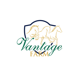 Logo Design by prodesigns99 for this project | Design: #36243497
