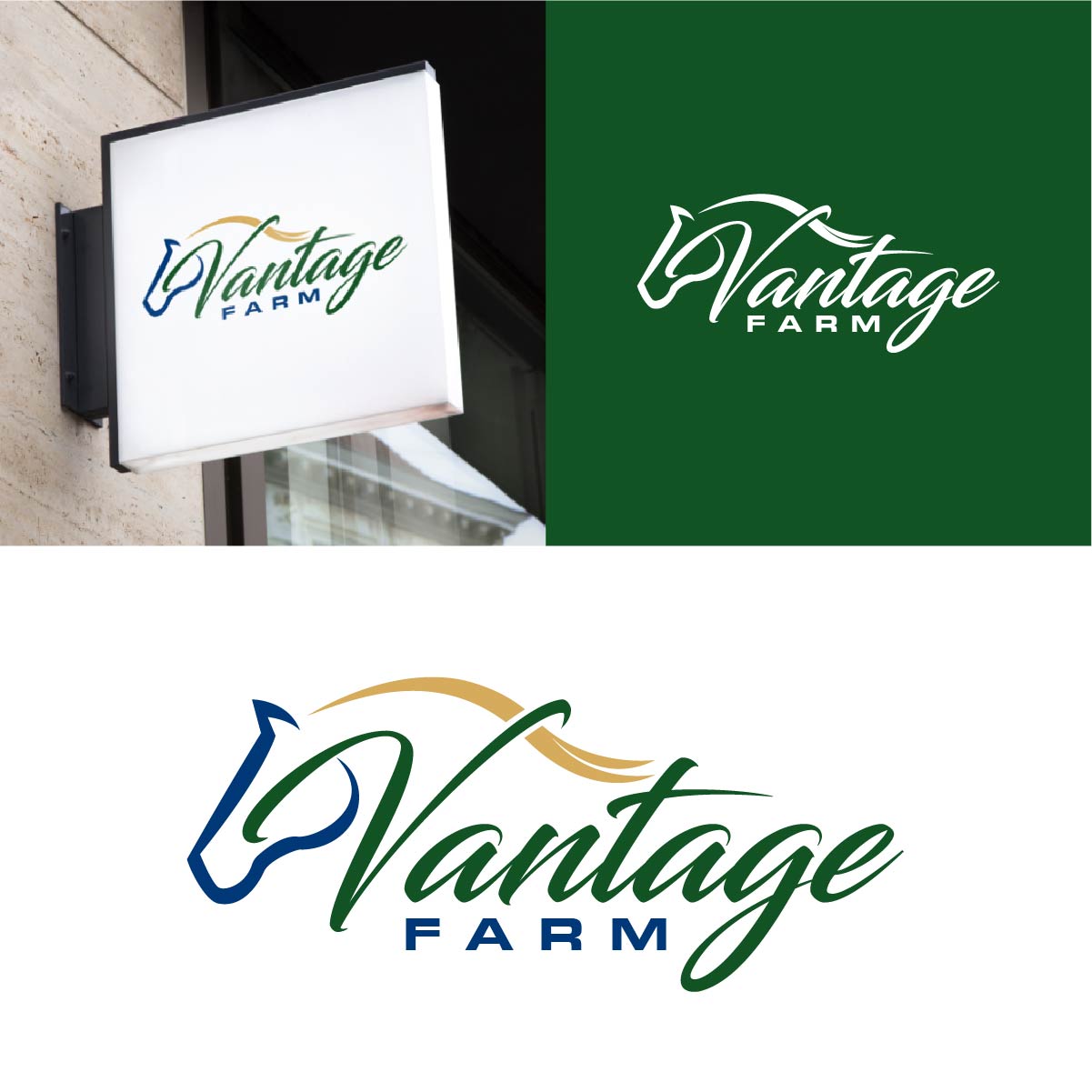 Logo Design by fly  design for this project | Design #36246192