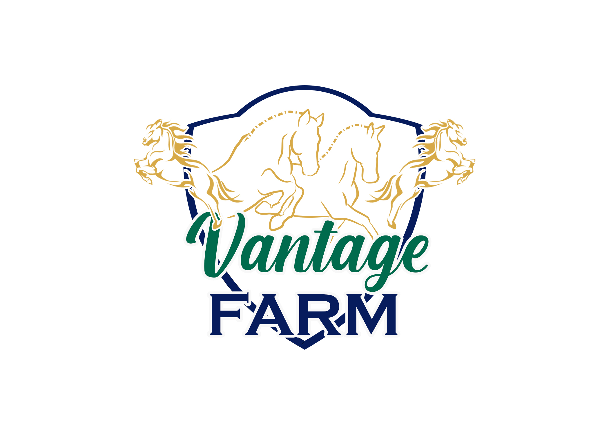 Logo Design by Design Ninja 47 for this project | Design #36249344