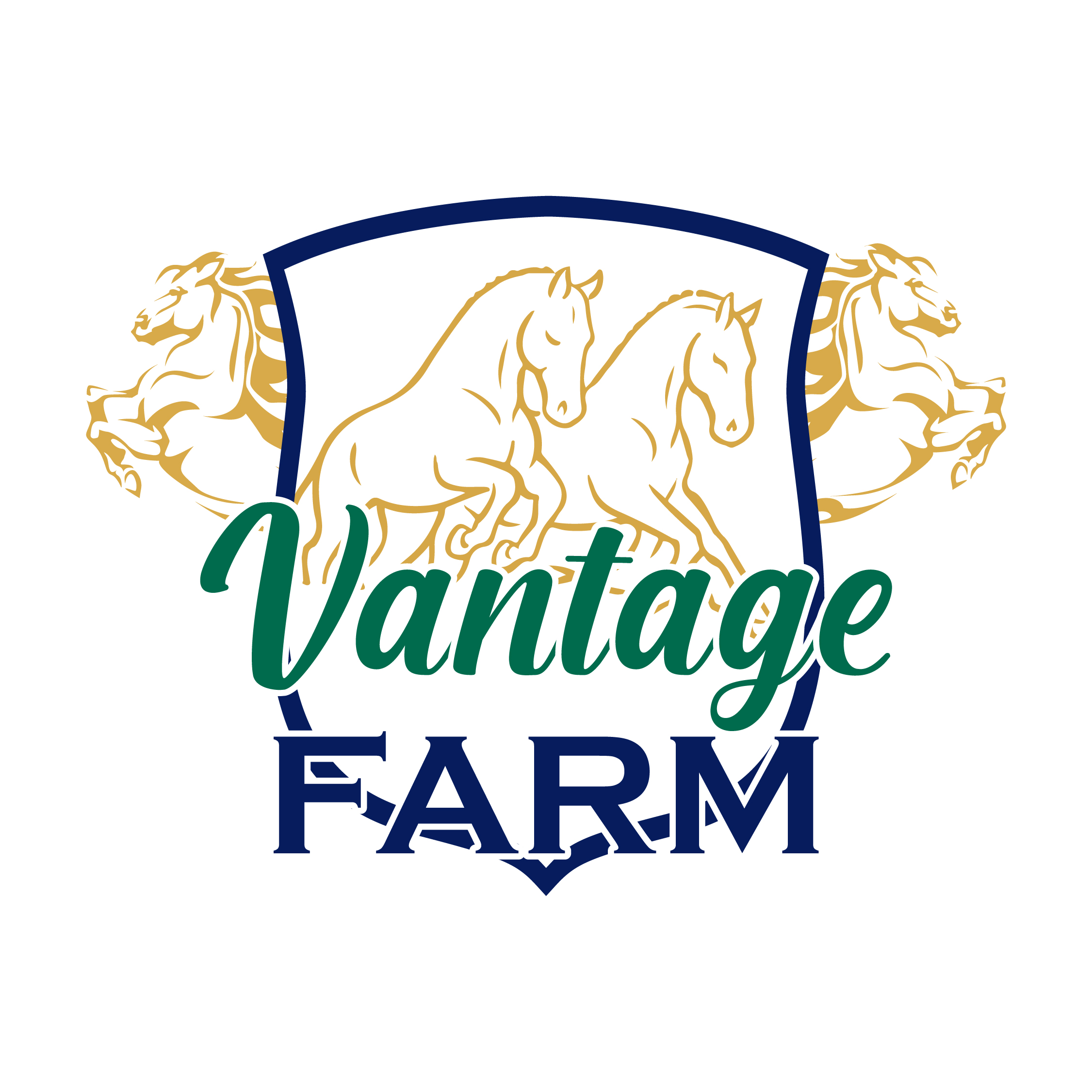 Logo Design by Design Ninja 47 for this project | Design #36249411