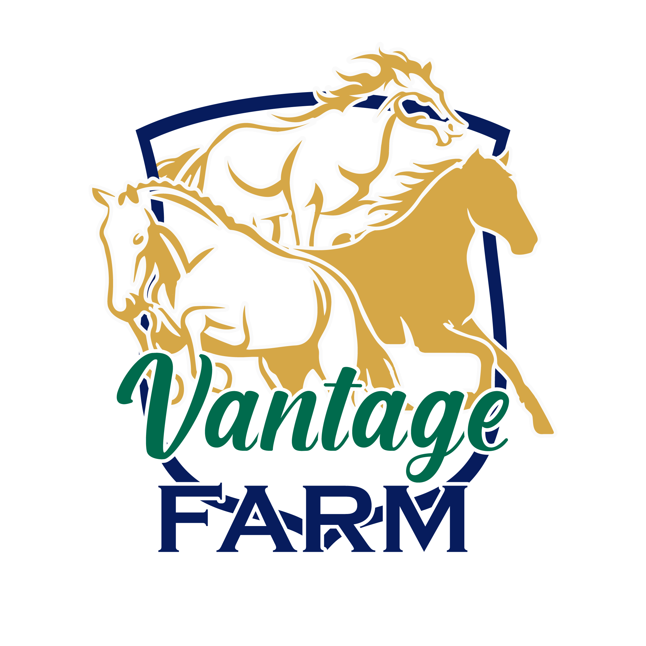 Design de Logo par Design Ninja 47 pour ce projet | Design #36249464