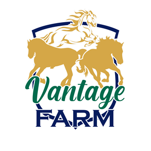 Logo Design by Design Ninja 47 for this project | Design: #36249500