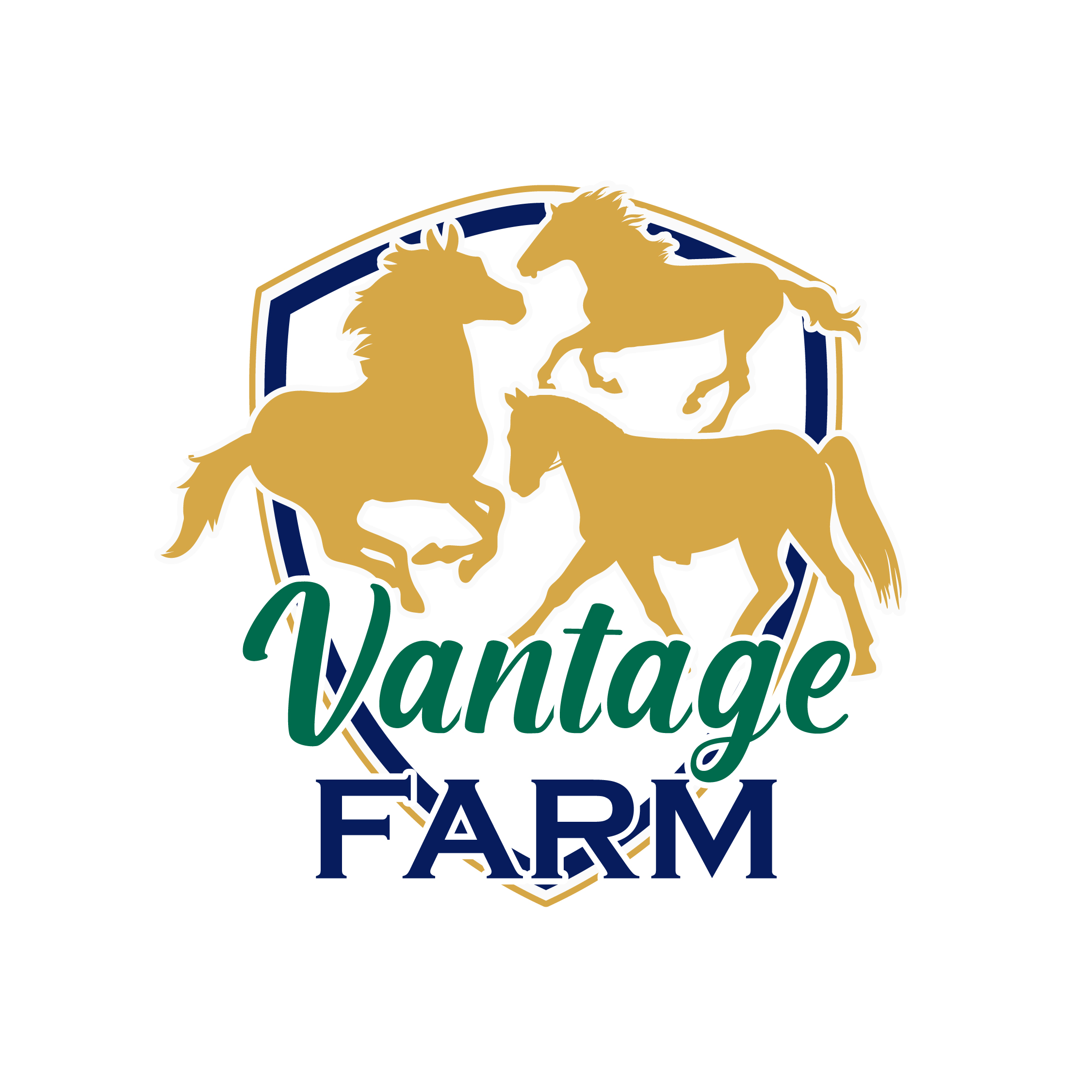 Logo-Design von Design Ninja 47 für dieses Projekt | Design #36249538