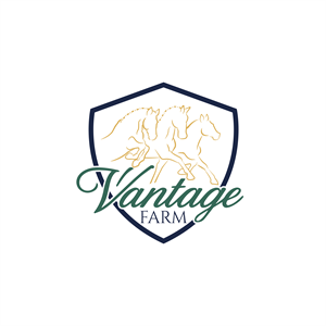 Design de Logo par ares_h1 pour ce projet | Design #36248123