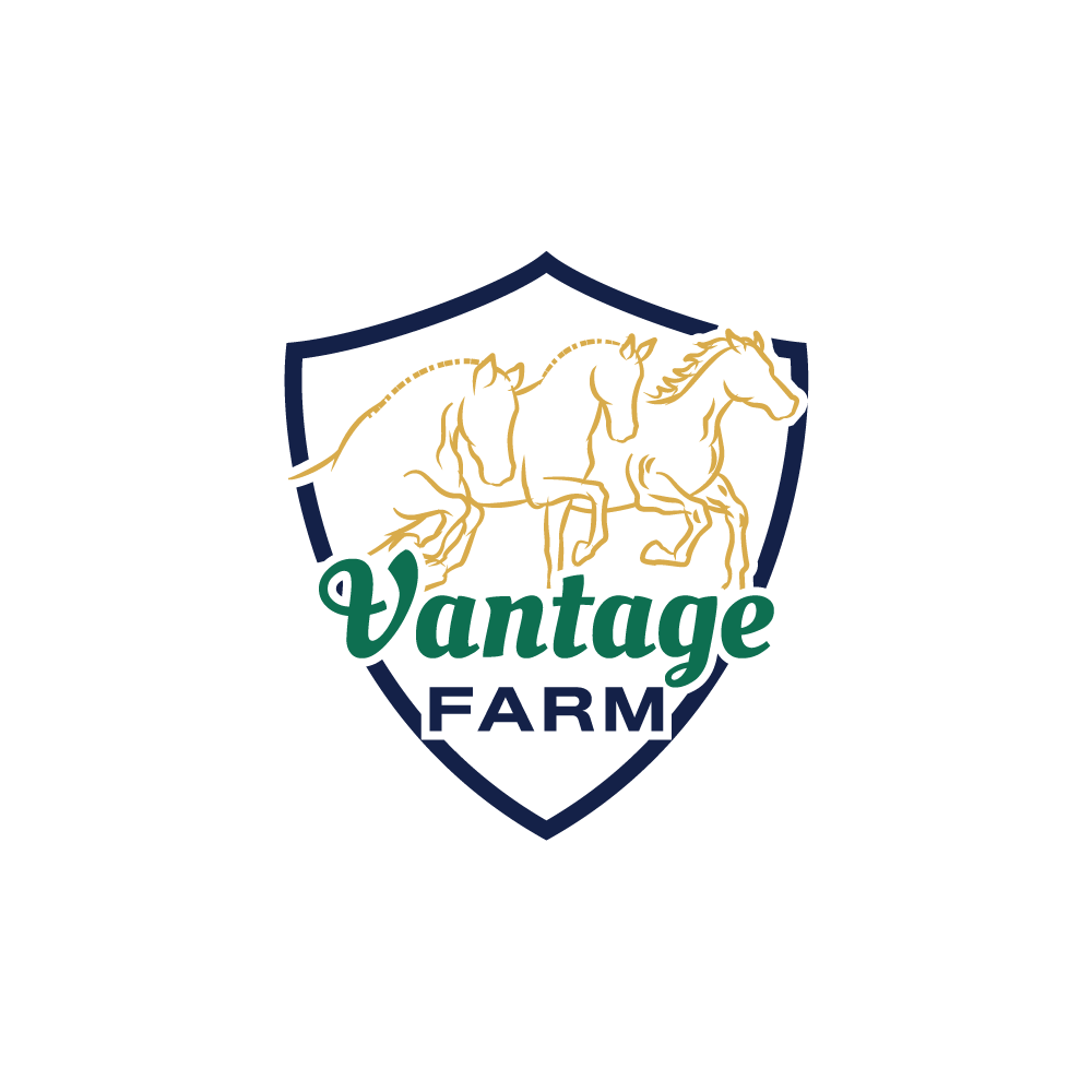Logo Design by howi for this project | Design #36252916