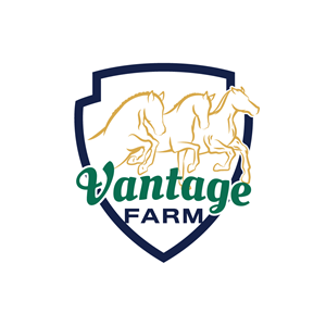 Logo Design by howi for this project | Design: #36255167