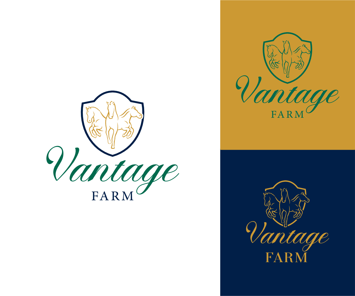 Logo Design by ThiagoB for this project | Design #36243571