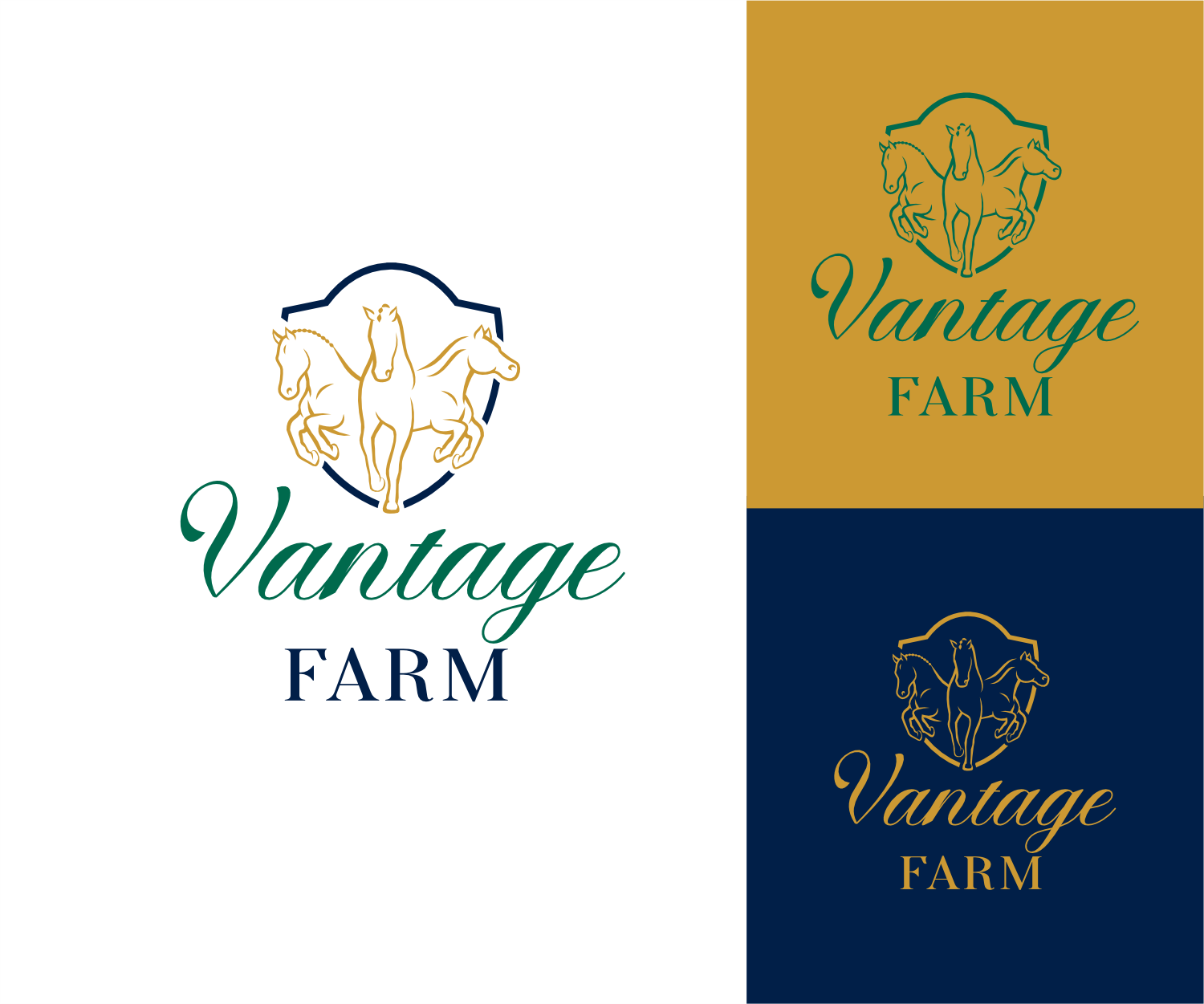 Logo Design by ThiagoB for this project | Design #36243572