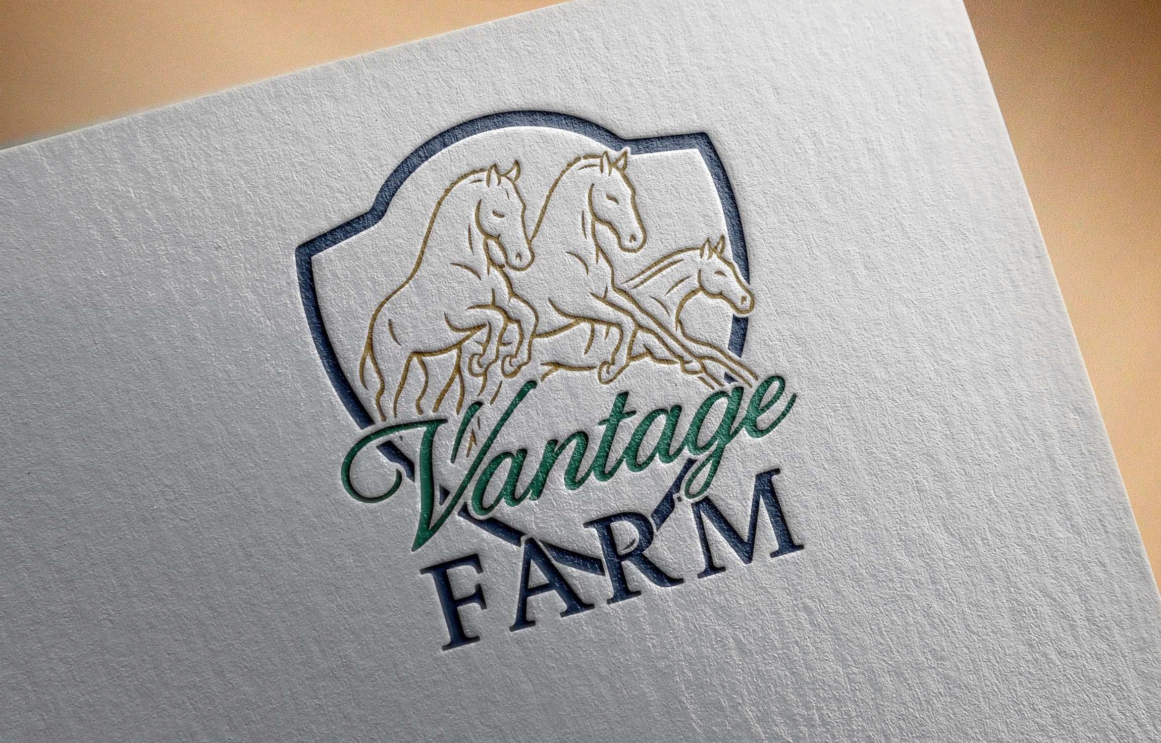 Logo Design by Bear Studio for this project | Design #36242962