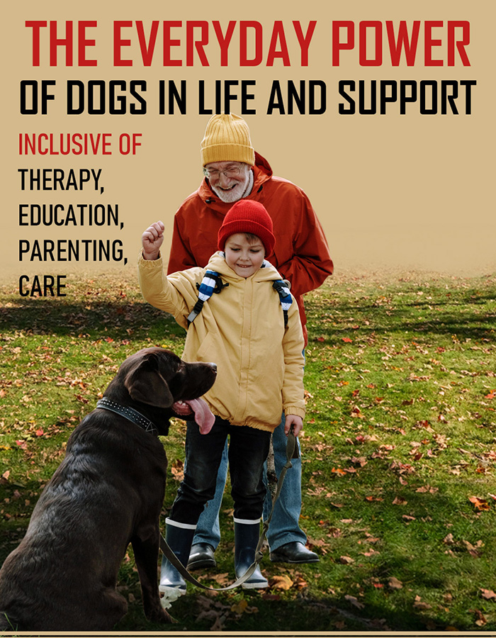 Book Cover Design by AditiArts for this project | Design #36317093