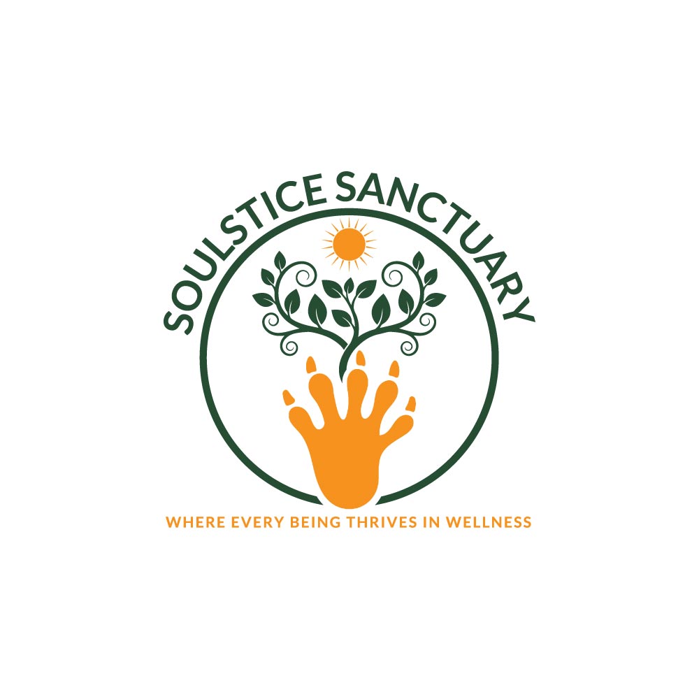 Logo Design by hellodesigneralamin for 1972 | Design #36256531