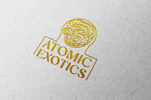 Logo Design by BANI GD for this project | Design: #36264831