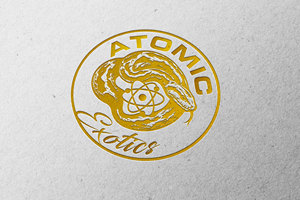 Design de Logo par BANI GD pour ce projet | Design : #36273033