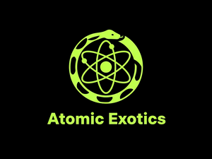 Logo Design by HSL Brain for this project | Design: #36264432