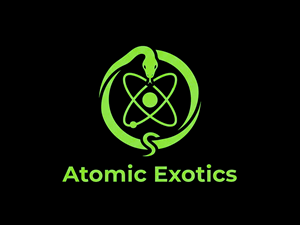 Logo Design by HSL Brain for this project | Design: #36264433