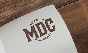 Logo Design by Loin008 for this project | Design: #36277095