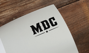 Logo Design by Loin008 for this project | Design: #36277101