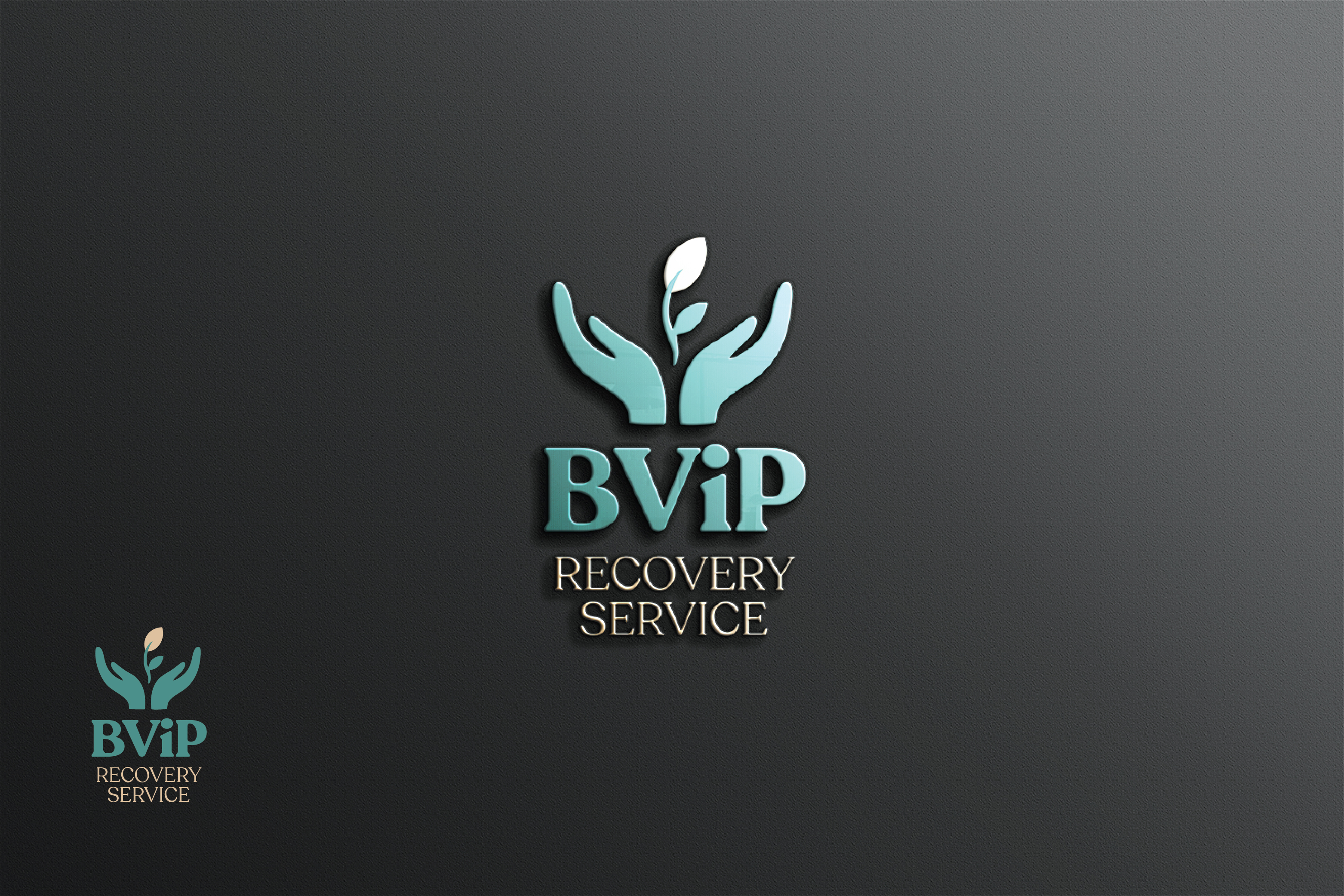 Logo Design by raju.creative for BViP Recovery Services | Design #36275852