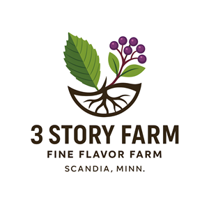 Diseño de Logo por HF STUDIO para este proyecto | Diseño: #36297755