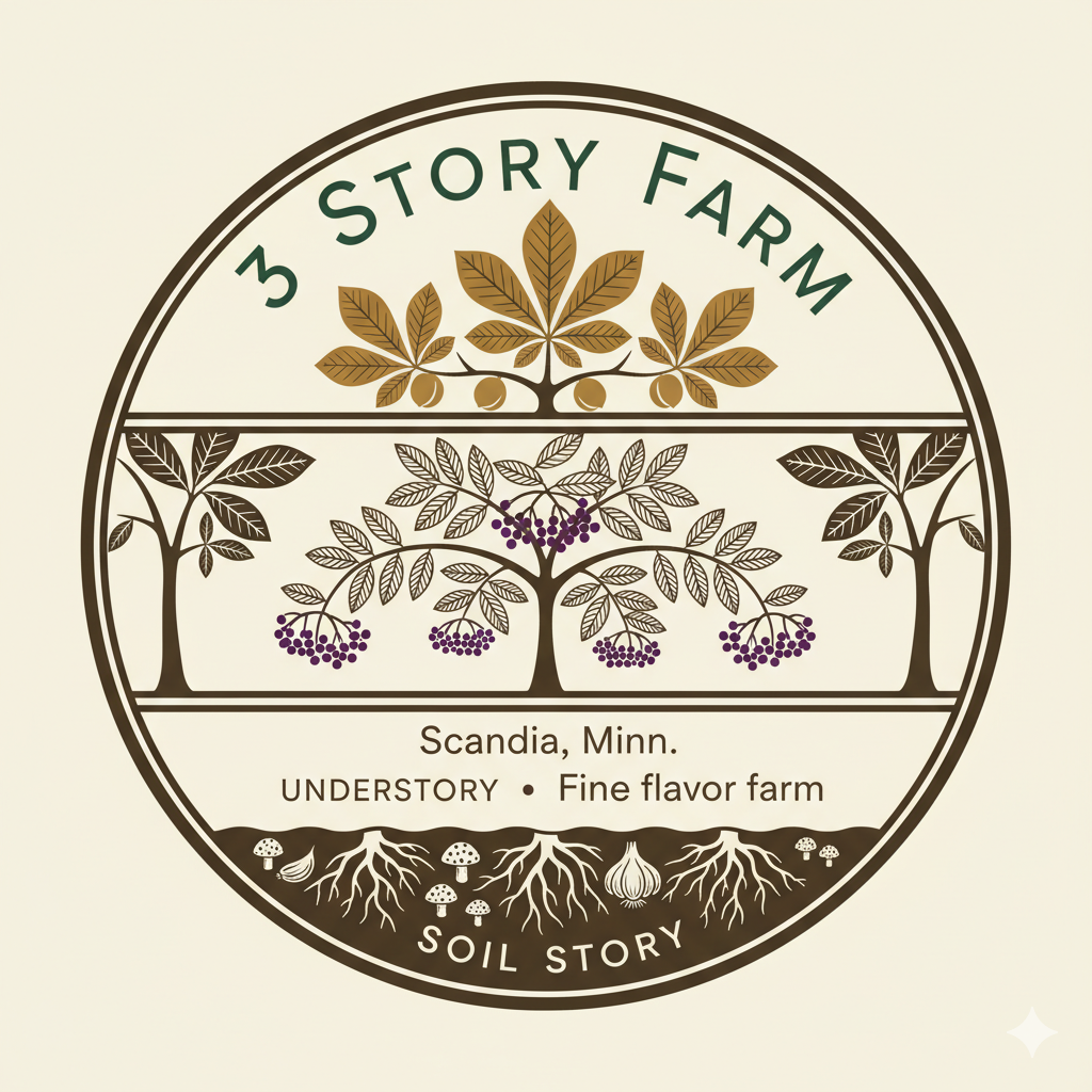 Diseño de Logo por COR para este proyecto | Diseño #36292597