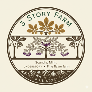 Diseño de Logo por COR para este proyecto | Diseño: #36292597