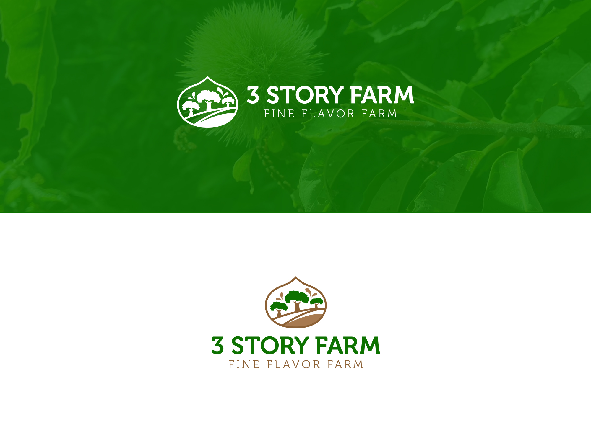 Diseño de Logo por damakyjr para este proyecto | Diseño #36268802